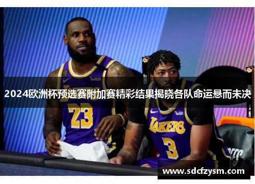 2024欧洲杯预选赛附加赛精彩结果揭晓各队命运悬而未决