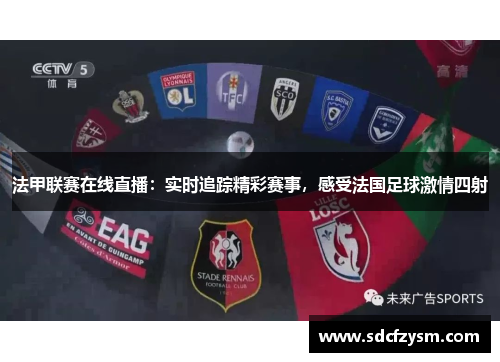 法甲联赛在线直播：实时追踪精彩赛事，感受法国足球激情四射