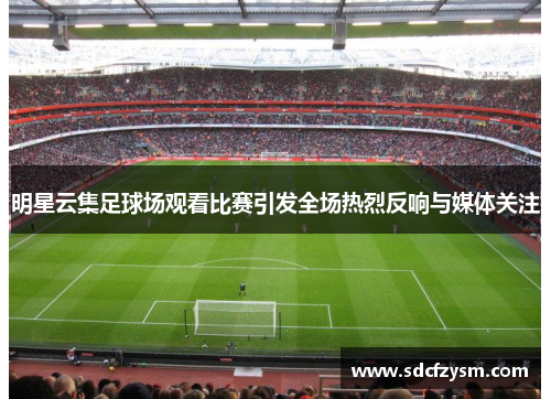 明星云集足球场观看比赛引发全场热烈反响与媒体关注