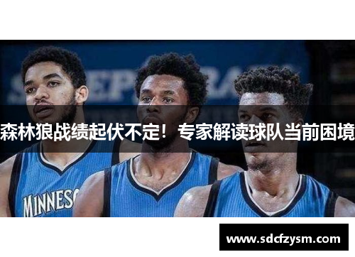 森林狼战绩起伏不定！专家解读球队当前困境