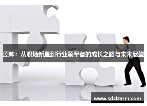 原帅：从职场新星到行业领军者的成长之路与未来展望