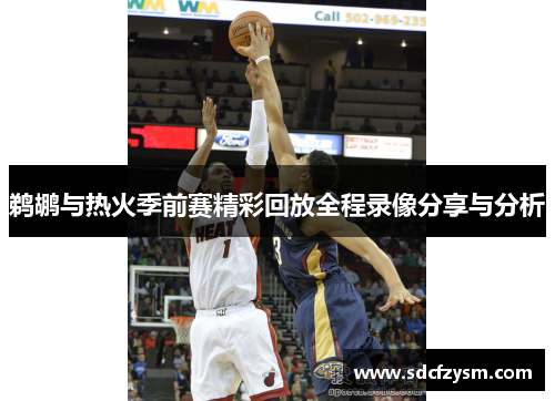 鹈鹕与热火季前赛精彩回放全程录像分享与分析