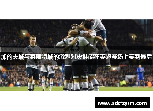 加的夫城与莱斯特城的激烈对决谁能在英超赛场上笑到最后